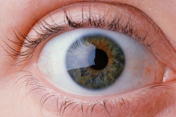 Woman's Eye Woman's Eye